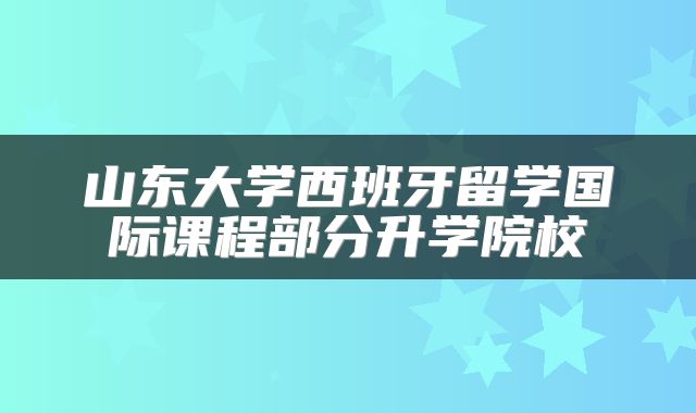 山东大学西班牙留学国际课程部分升学院校