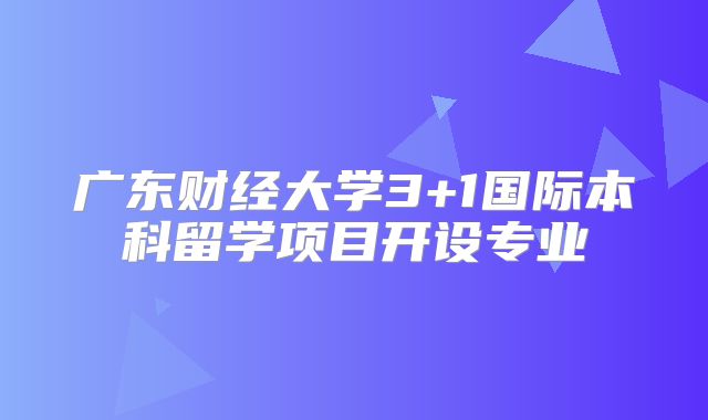 广东财经大学3+1国际本科留学项目开设专业