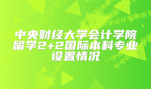 中央财经大学会计学院留学2+2国际本科专业设置情况
