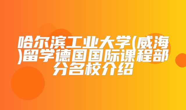 哈尔滨工业大学(威海)留学德国国际课程部分名校介绍
