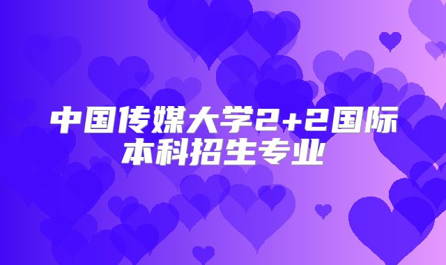 中国传媒大学2+2国际本科招生专业