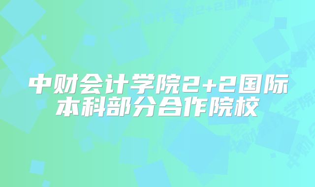 中财会计学院2+2国际本科部分合作院校