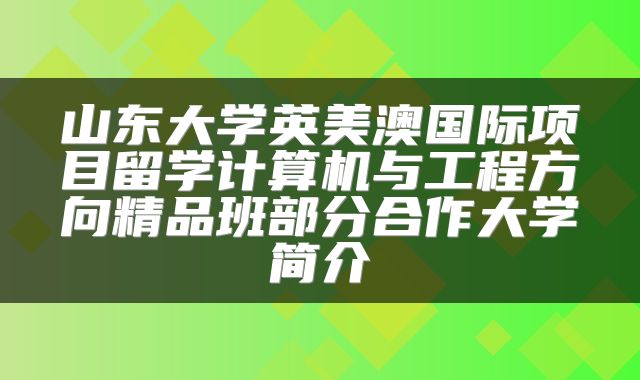 山东大学英美澳国际项目留学计算机与工程方向精品班部分合作大学简介