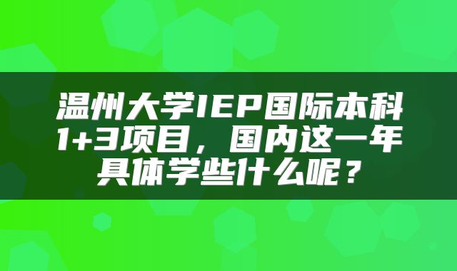 温州大学IEP国际本科1+3项目，国内这一年具体学些什么呢？