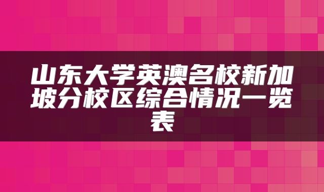 山东大学英澳名校新加坡分校区综合情况一览表