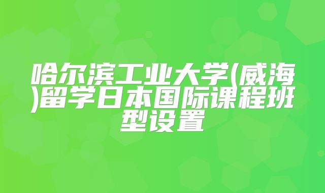 哈尔滨工业大学(威海)留学日本国际课程班型设置