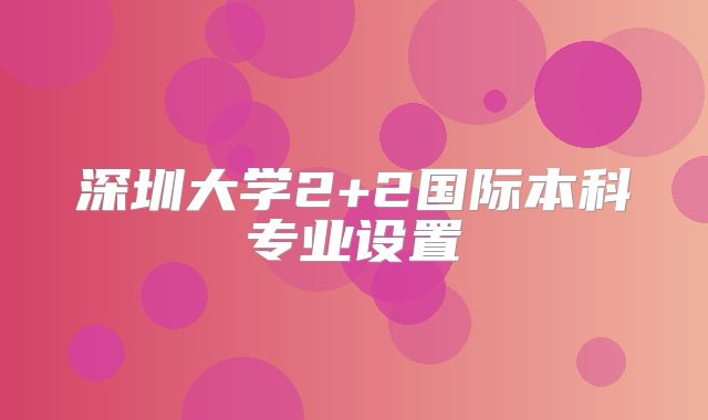 深圳大学2+2国际本科专业设置