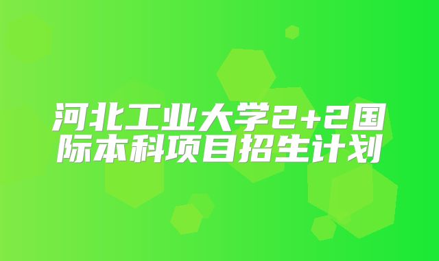 河北工业大学2+2国际本科项目招生计划