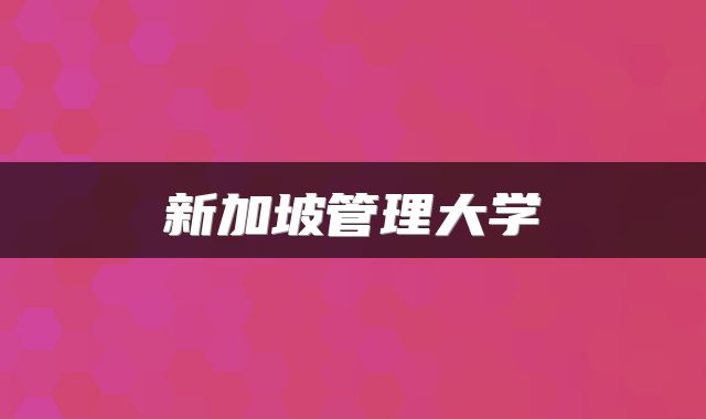 新加坡管理大学