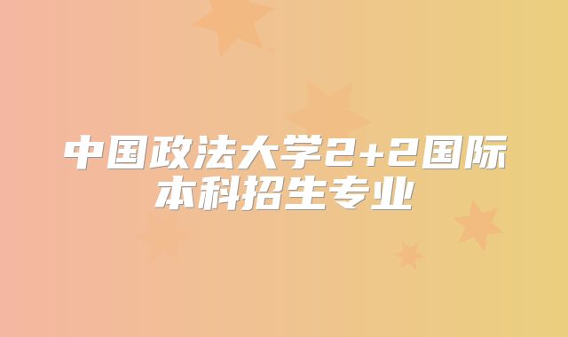 中国政法大学2+2国际本科招生专业