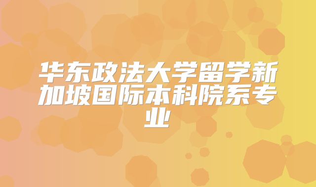 华东政法大学留学新加坡国际本科院系专业