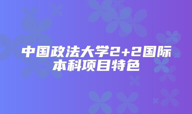 中国政法大学2+2国际本科项目特色