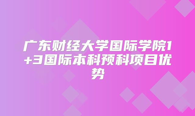 广东财经大学国际学院1+3国际本科预科项目优势