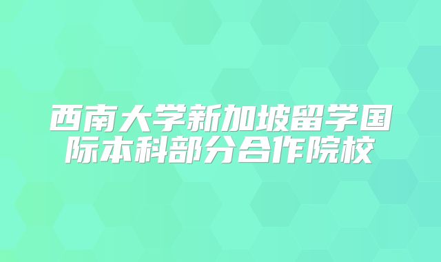 西南大学新加坡留学国际本科部分合作院校
