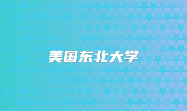美国东北大学