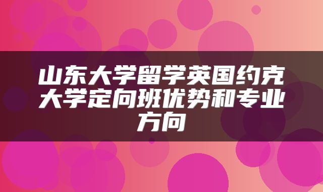 山东大学留学英国约克大学定向班优势和专业方向