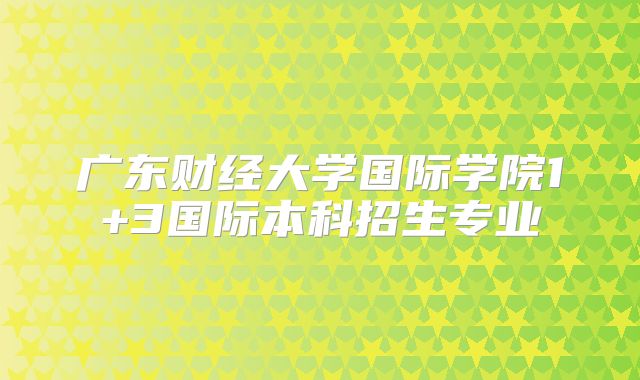广东财经大学国际学院1+3国际本科招生专业
