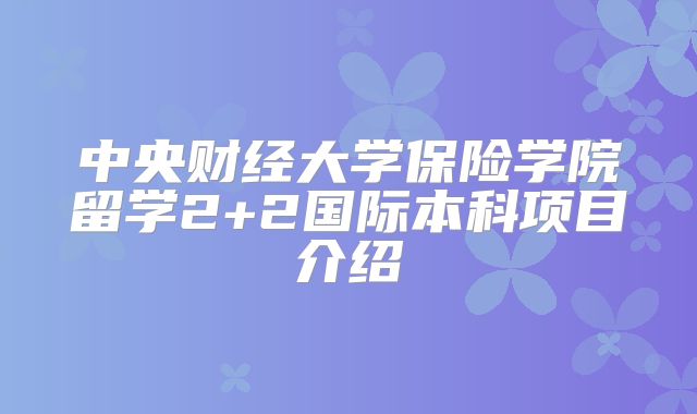 中央财经大学保险学院留学2+2国际本科项目介绍