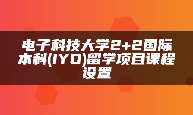 电子科技大学2+2国际本科(IYO)留学项目课程设置