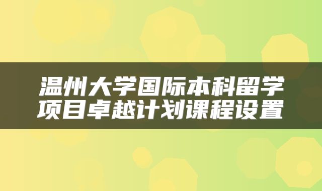 温州大学国际本科留学项目卓越计划课程设置