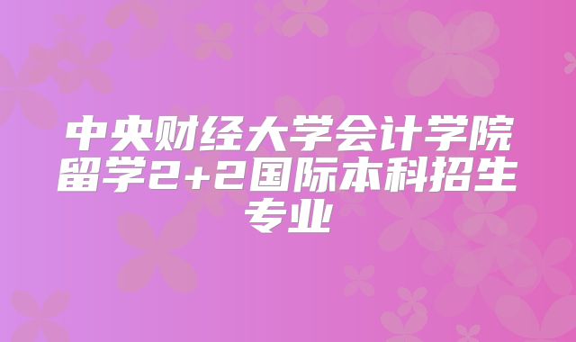 中央财经大学会计学院留学2+2国际本科招生专业